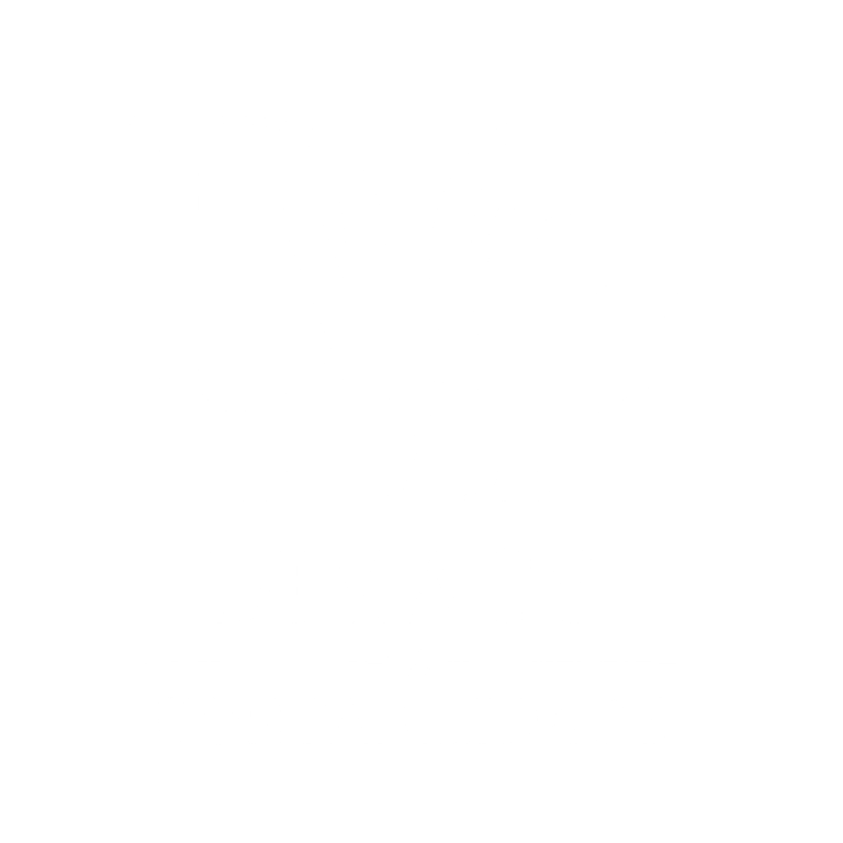 dimagy-logo